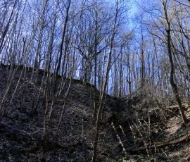 DSC_0098_DxO